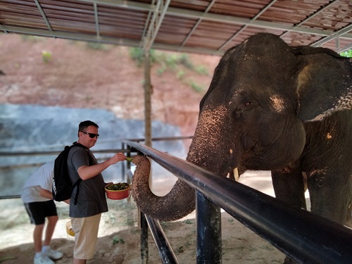 Phuket Elephant Sanctuary 2