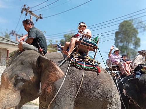 Phuket Elephant Camp 3