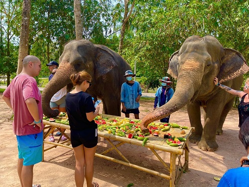 Phuket Elephant Sanctuary 3