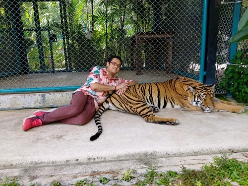 Tiger Park Phuket 3