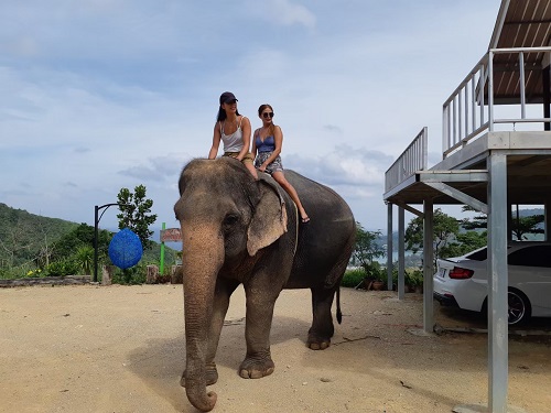 Phuket Elephant Camp 2